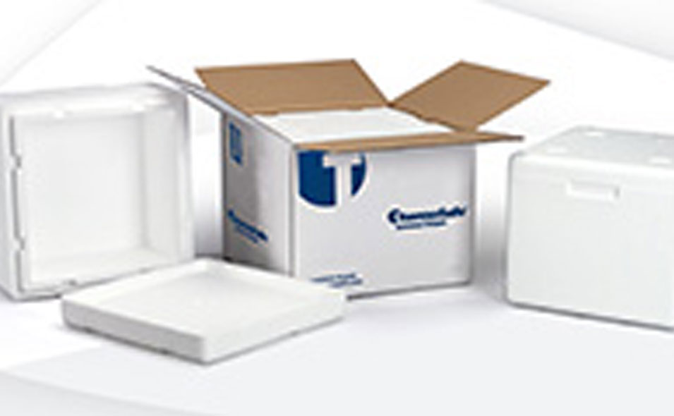 shippers955-590.jpg shippers955-590.jpg