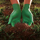 showa_biodgradable_gloves.jpg showa_biodgradable_gloves.jpg