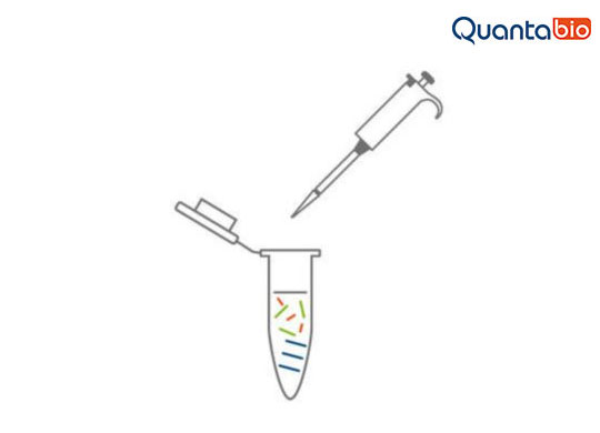 sparQ-PureMag-540.jpg sparQ-PureMag-540.jpg