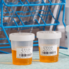 specimen_makinjg.png specimen_makinjg.png