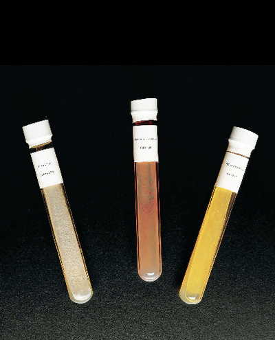 specimens4.jpg specimens4.jpg