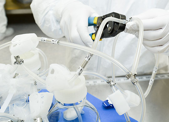 sus-supply-chain-540x390.jpg sus-supply-chain-540x390.jpg