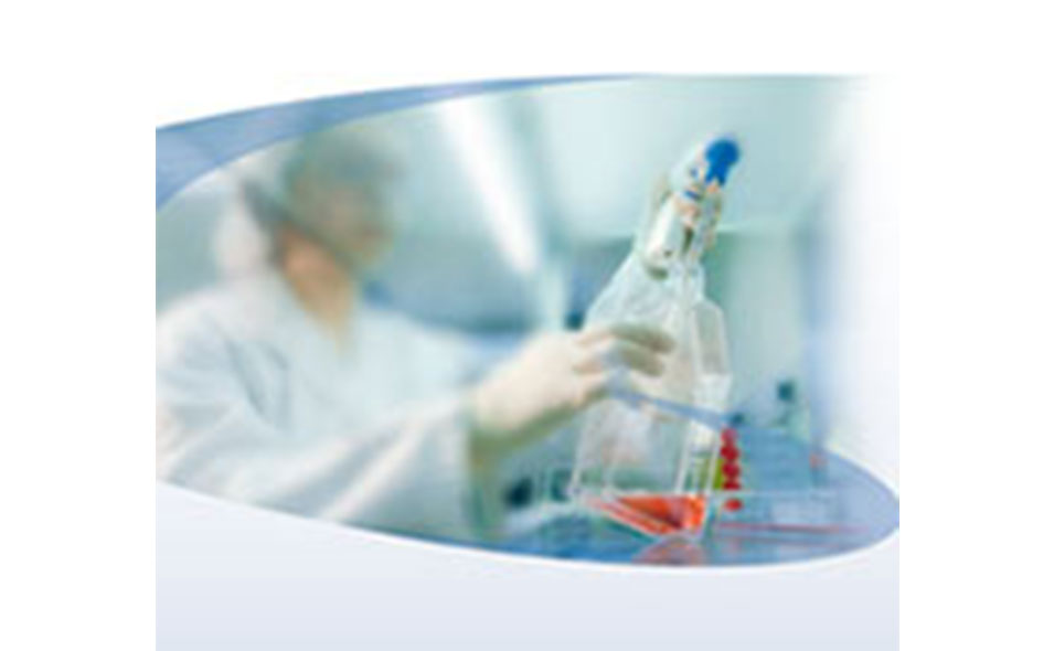 tissue-culture955x590.jpg tissue-culture955x590.jpg