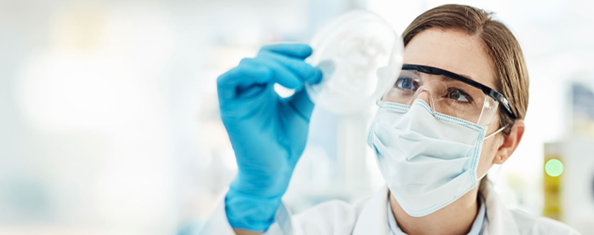 twowon_cell_culture-hero.jpg twowon_cell_culture-hero.jpg