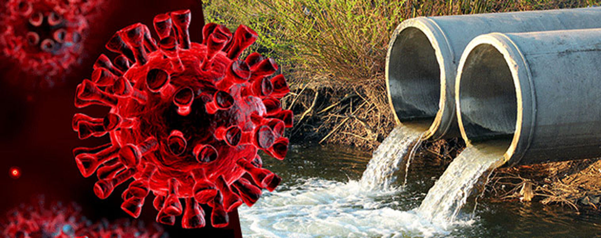 wastewater-analysis-webinar-1920x760.jpg wastewater-analysis-webinar-1920x760.jpg