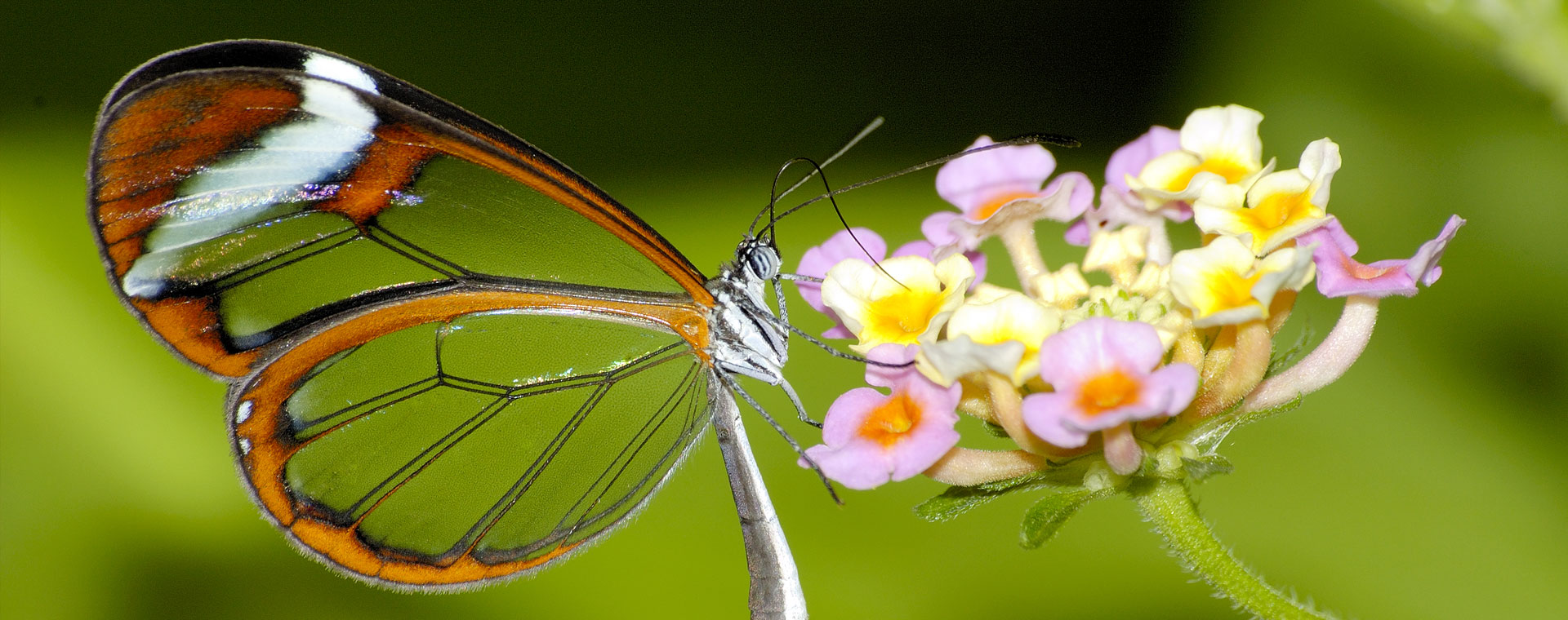 water-hero-sf.jpg water-hero-sf.jpg