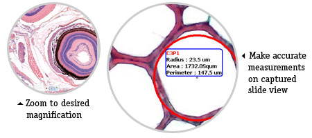ws_12-16559_annotate.jpg ws_12-16559_annotate.jpg