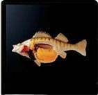 ws_Aquaculture_140x140.jpg ws_Aquaculture_140x140.jpg