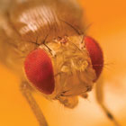 ws_Biology_Stories_140.jpg ws_Biology_Stories_140.jpg