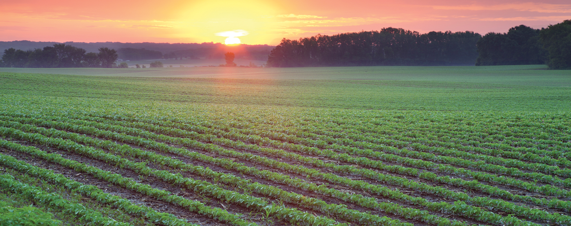 ws_CASE4learning_1920x760.jpg ws_CASE4learning_1920x760.jpg