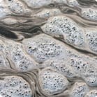 ws_Environmental_Sci_140x140.jpg ws_Environmental_Sci_140x140.jpg