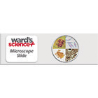 Microscope_slides_sets3 Microscope_slides_sets3