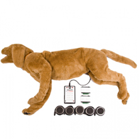 ws_agSciVetTechSimulation_200.jpg ws_agSciVetTechSimulation_200.jpg