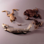 ws_animal_collections_140.jpg ws_animal_collections_140.jpg