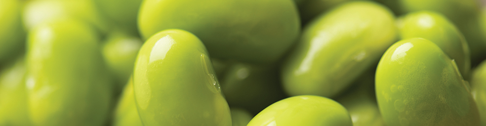 ws_case_soybean_960.jpg ws_case_soybean_960.jpg