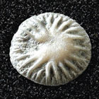 ws_cnidaria_fossil_specimens_140.jpg ws_cnidaria_fossil_specimens_140.jpg