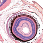 ws_digital_slides_140.jpg ws_digital_slides_140.jpg