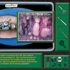 ws_dissection_computer_software_140.jpg