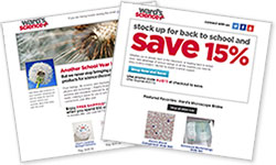 ws-email-example-250x150.jpg ws-email-example-250x150.jpg