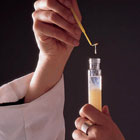 ws_genetics_lab_activities_140.jpg ws_genetics_lab_activities_140.jpg