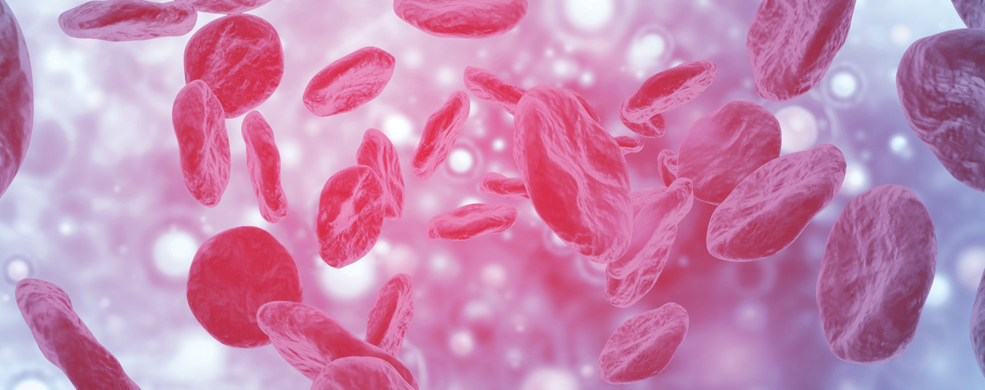 ws_healthcareEducation_blood_1920x760.jpg ws_healthcareEducation_blood_1920x760.jpg