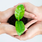 ws_join_our_team_140.jpg ws_join_our_team_140.jpg