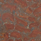 ws_plantae-thallophyta_fossil_specimens_140.jpg ws_plantae-thallophyta_fossil_specimens_140.jpg