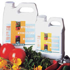 ws_planting_media_140.jpg ws_planting_media_140.jpg