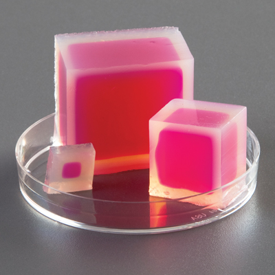 ws_rml_ap-biology_400.jpg ws_rml_ap-biology_400.jpg