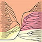 ws_tree_of_life_140.jpg ws_tree_of_life_140.jpg